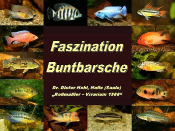 Faszination Buntbarsche