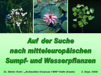 Auf der Suche nach mitteleuropäischen Wasser- und Sumpfpflanzen